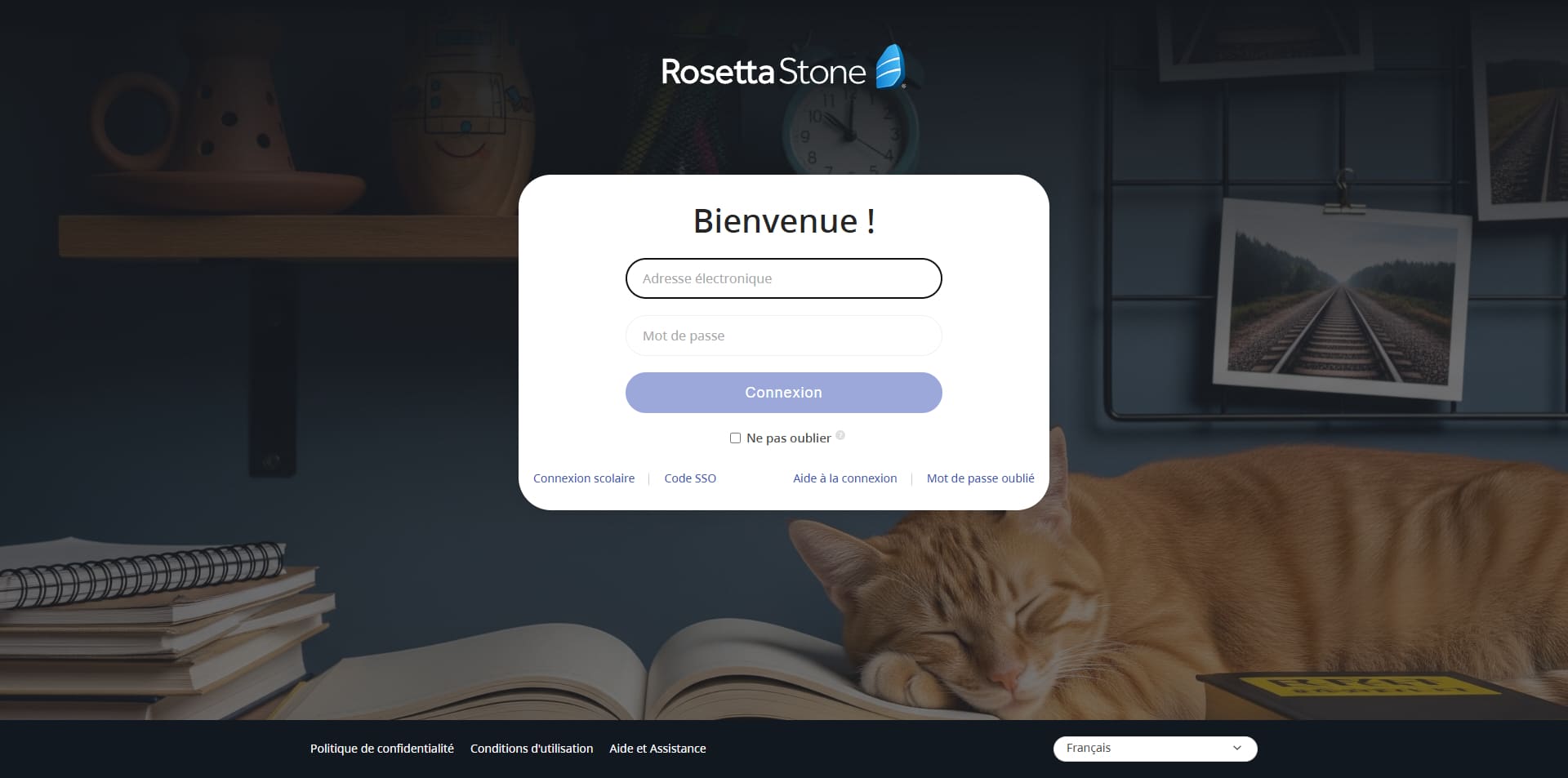 Rosetta Stone Code promo