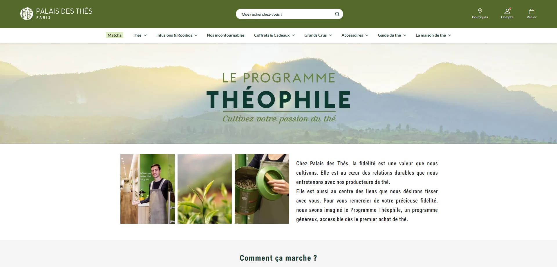 Palais Des Thes Code promo