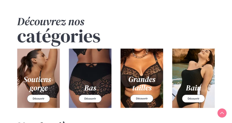 Toutes Les Poitrines