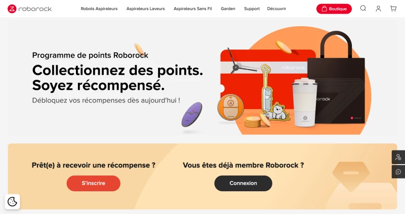 Roborock