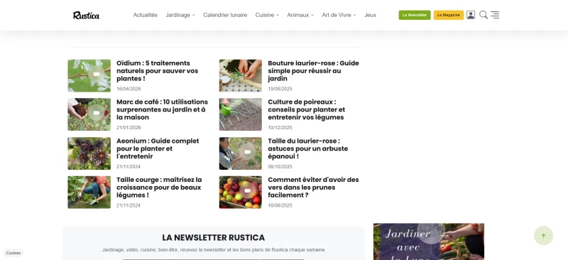 Rustica