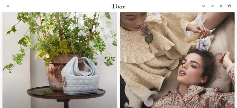 DIOR