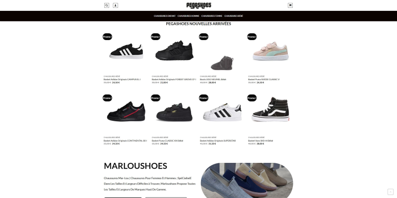 PEGASHOES