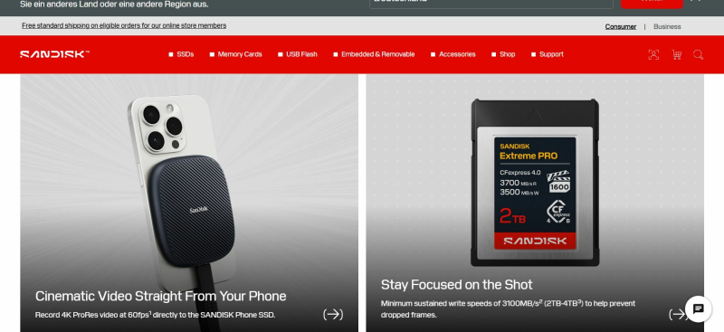 Sandisk