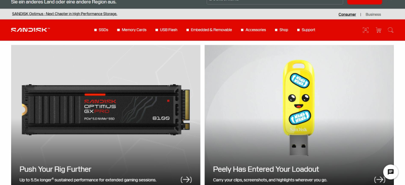 Sandisk