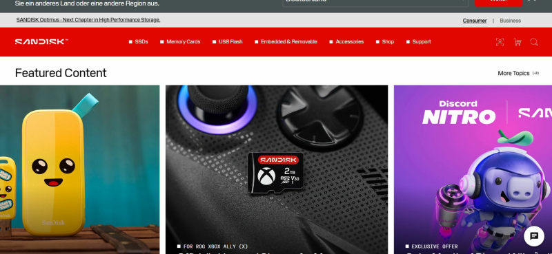 Sandisk