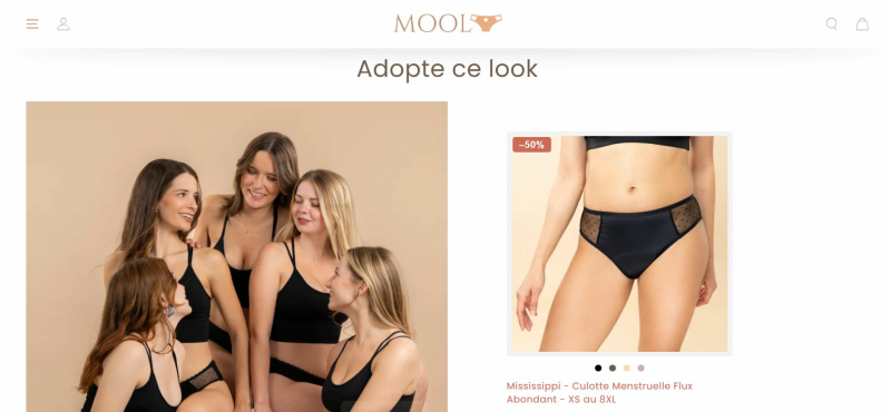 Mool