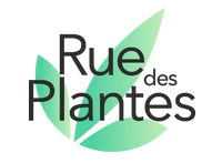 Rue Des Plantes