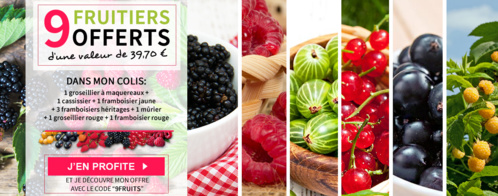Willemse : 2 nouveaux catalogues printemps pour le jardin et le potager.