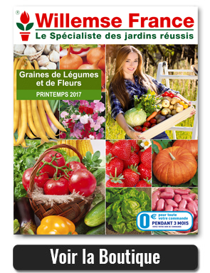 Willemse : 2 nouveaux catalogues printemps pour le jardin et le potager. Willemse : 2 nouveaux catalogues printemps pour le jardin et le potager.