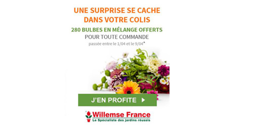 WILLEMSE FRANCE, vous offre 220 Bulbes en mélange pour toute commande