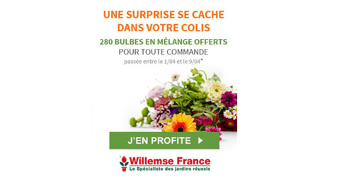 WILLEMSE FRANCE, vous offre 220 Bulbes en mélange pour toute commande WILLEMSE FRANCE, vous offre 220 Bulbes en mélange pour toute commande
