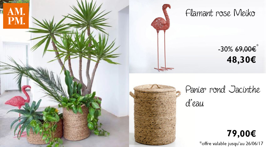 Cliquez ici pour accéder à la décoration d'extérieur AM.PM