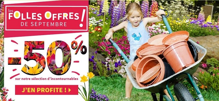 Willemse : tous les conseils pour planter en Septembre-Octobre Willemse : tous les conseils pour planter en Septembre-Octobre