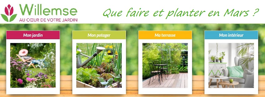 Willemse : que planter au jardin en Mars ?