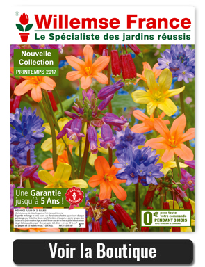 Willemse : 2 nouveaux catalogues printemps pour le jardin et le potager.