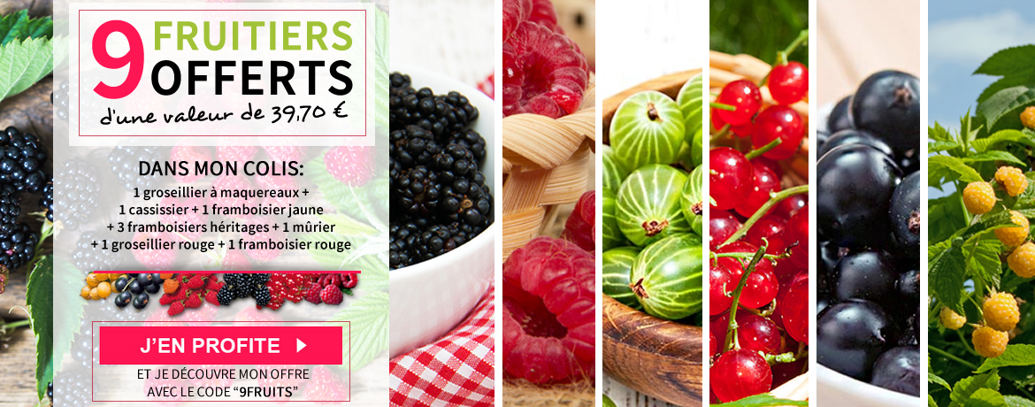 Willemse : 2 nouveaux catalogues printemps pour le jardin et le potager.
