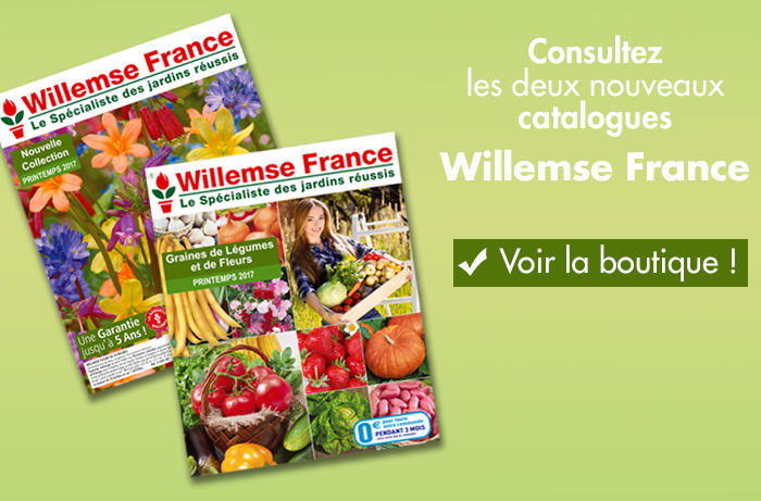 Willemse : 2 nouveaux catalogues printemps pour le jardin et le potager.