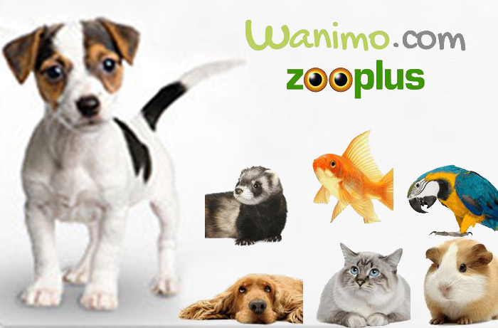 Wanimo et Zooplus les marques d'affection pour vos animaux
