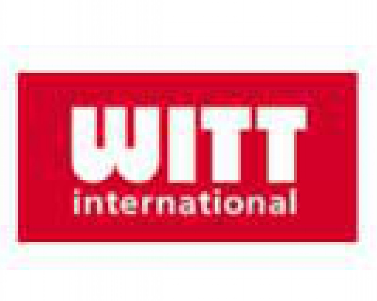 WITT INTERNATIONAL WITT INTERNATIONAL