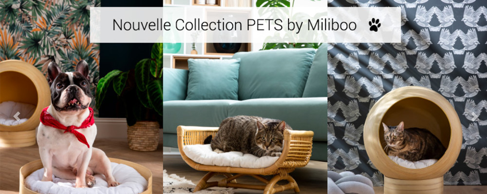 MILIBOO - Vous êtes plutôt Felix ou Medor ? MILIBOO - Vous êtes plutôt Felix ou Medor ?