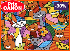 Un canevas, et des chats ! Un canevas, et des chats !