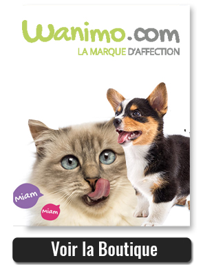 Catalogue WANIMO Catalogue WANIMO