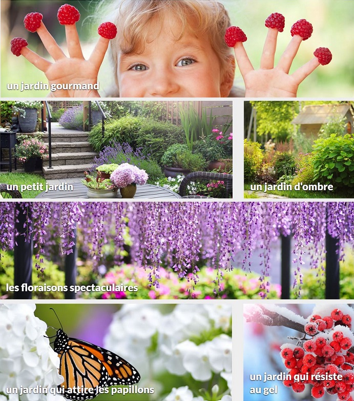 Cliquez ici pour voir les idées de jardin Willemse Cliquez ici pour voir les idées de jardin Willemse