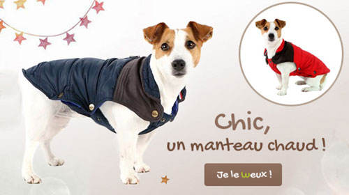 Manteau bien chaud pour chien