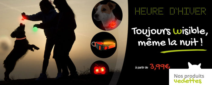 Toujours visible avec les colliers LED Toujours visible avec les colliers LED