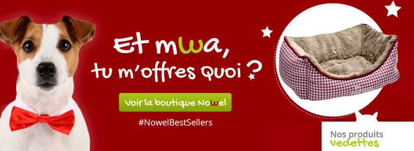 N'oubliez pas d'aller voir la boutique de Nowel !