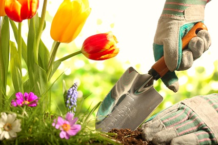 Tous les accessoires de jardin pour avoir la main verte ! Tous les accessoires de jardin pour avoir la main verte !