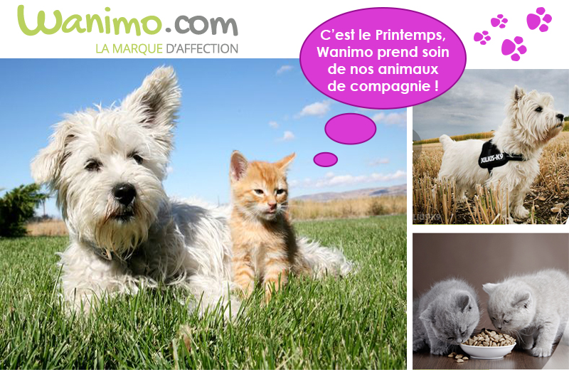 Avec Wanimo, les animaux aussi profitent du printemps ! Avec Wanimo, les animaux aussi profitent du printemps !