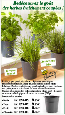 Apportez un peu de vert à votre cuisine ! Apportez un peu de vert à votre cuisine !