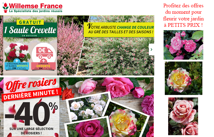 Profitez des offres du moment pour fleurir votre jardin à petit prix ! Profitez des offres du moment pour fleurir votre jardin à petit prix !