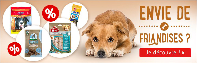 Cliquez ici pour voir toutes les offres pour chiens