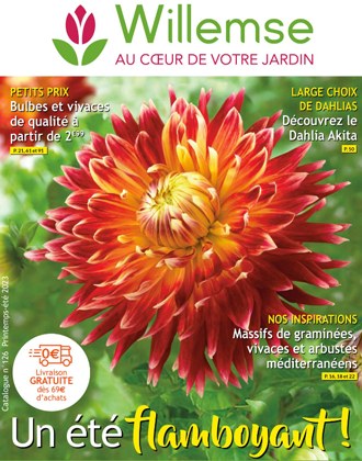 Achat Nouvelles plantes d'extérieur en ligne