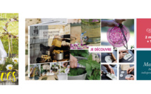 EDITIONS DE SAXE - UN CATALOGUE POUR LES PASSIONNES DE LOISIRS CREATIFS