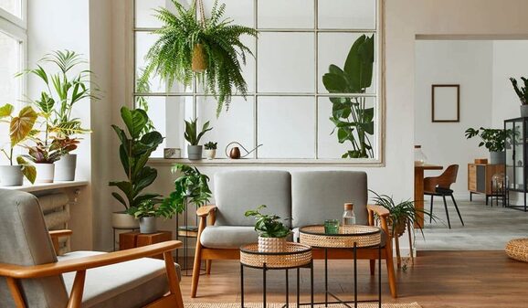 Comment choisir les plantes idéales pour chaque pièce de la maison Comment choisir les plantes idéales pour chaque pièce de la maison